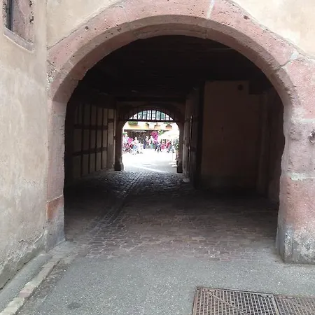 Chez Noah Le Vigneron Daire