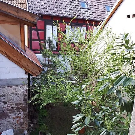 Chez Noah Le Vigneron *