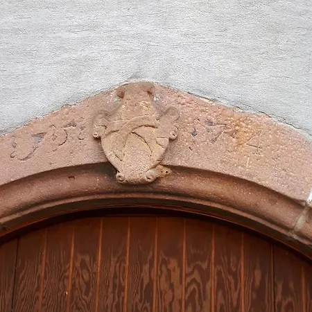 Daire Chez Noah Le Vigneron